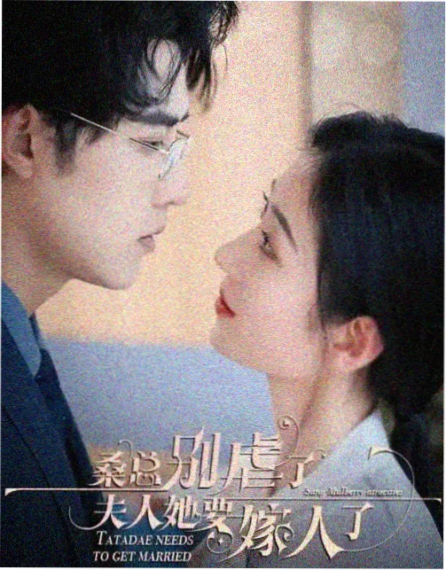 雍正王朝